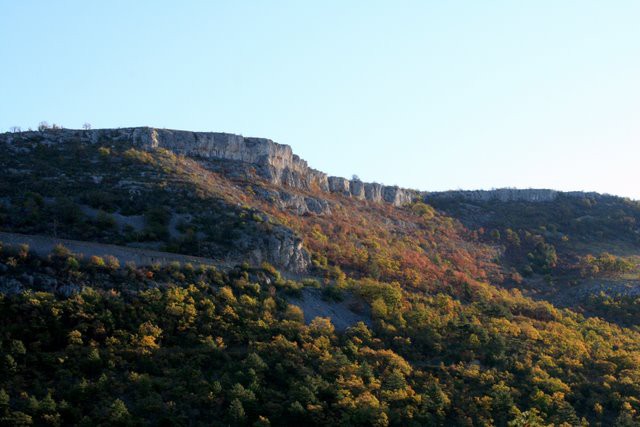 HRASTOVLJE JOZE - foto