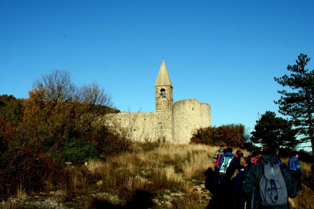 HRASTOVLJE JOZE - foto