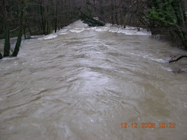 RIZANA JEZERO MOVRAŽ - foto