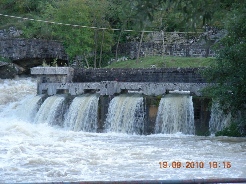 RIŽANA - foto povečava