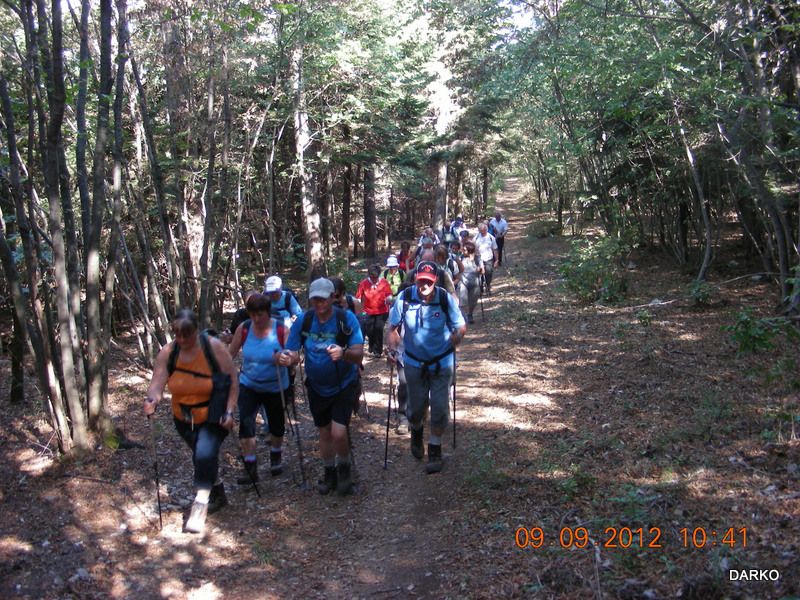 BAZOVICA 2012 a - foto povečava