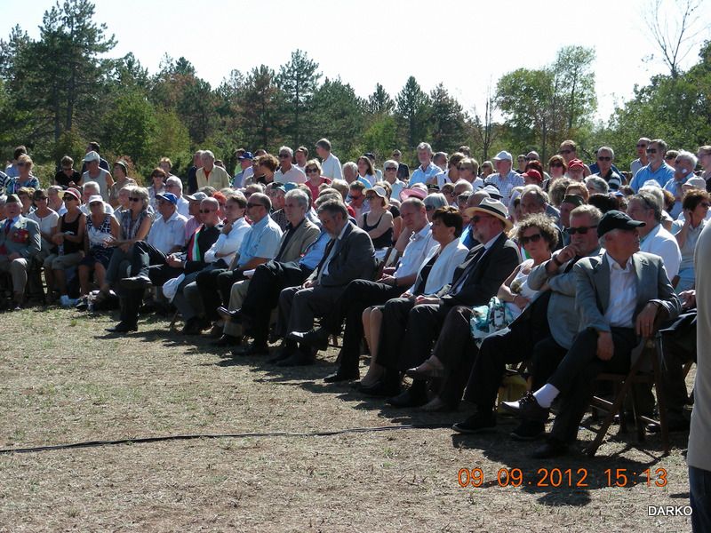 BAZOVICA 2012 a - foto povečava