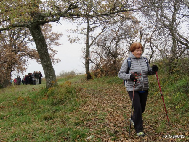 POHOD KROG - KORTE - foto