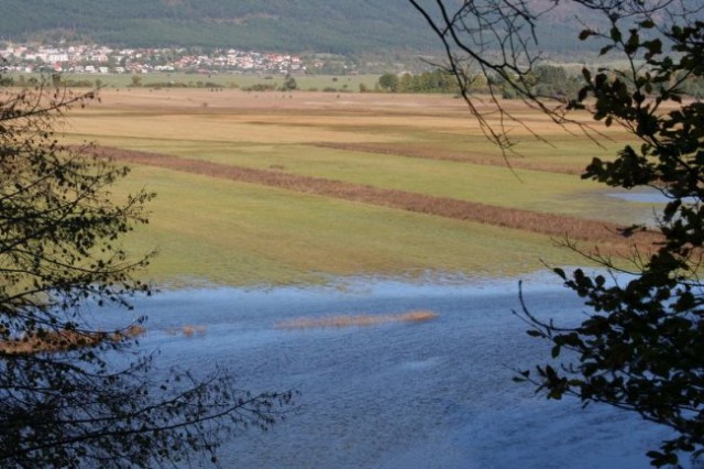 SV TROJICA - foto