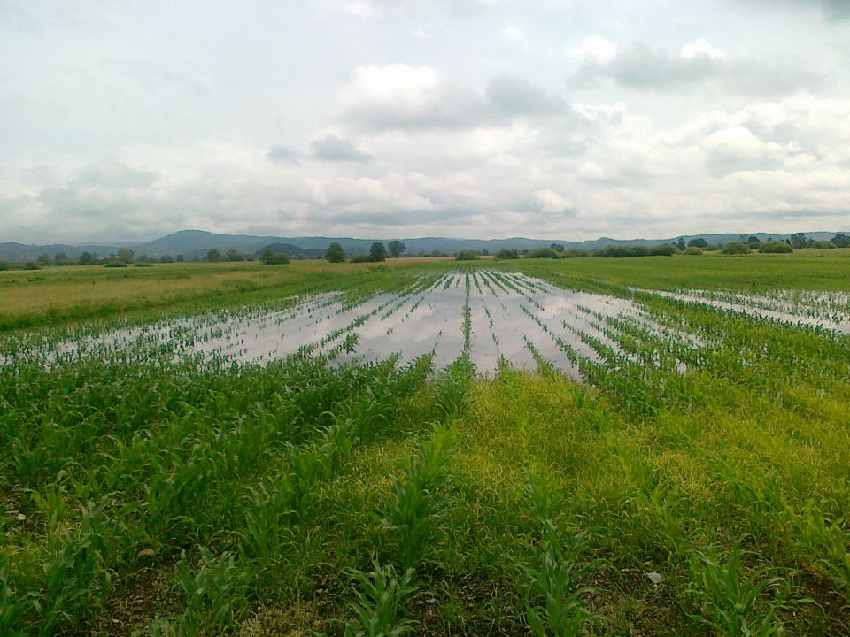 Karneki - foto povečava