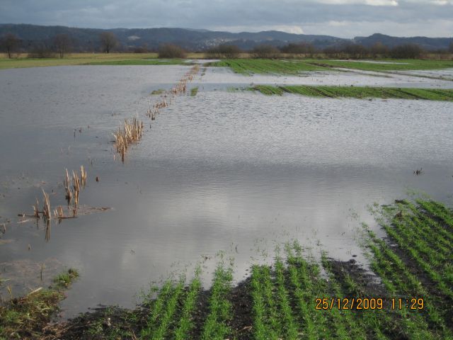 Naprodaj - foto