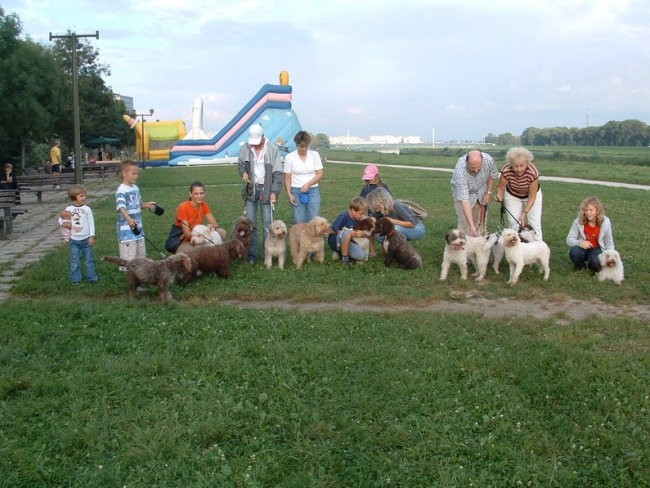 Hemingway - foto povečava