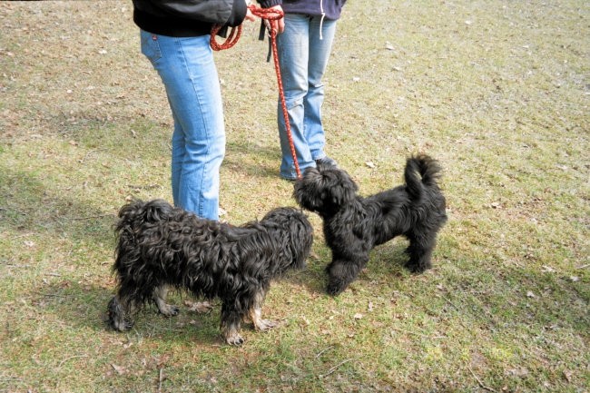 Tibetanski klubski dan 25.3.2006 - foto povečava