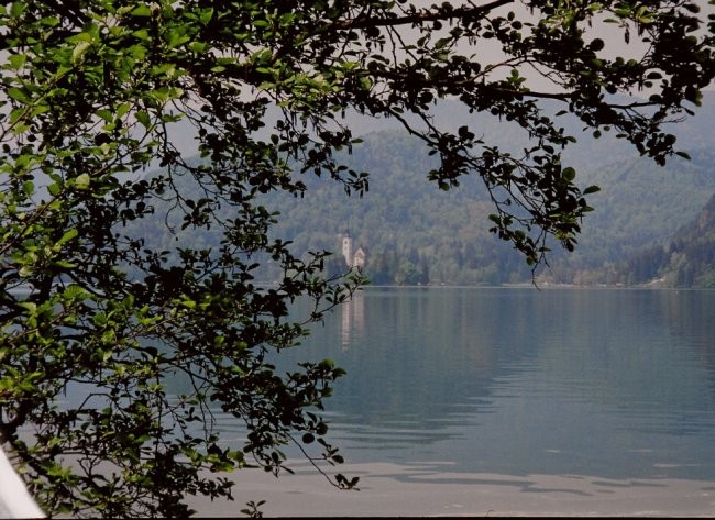 Annie na Bledu in Bohinju - foto povečava