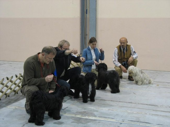 Celje 2006 - foto povečava