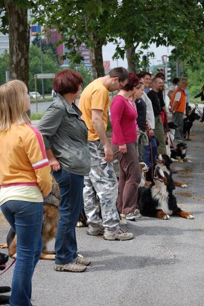 Redni izpiti 7.6. - kd krim - foto povečava