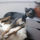 Brčica zzzzzz........