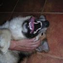 Lumpa