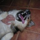 Lumpa