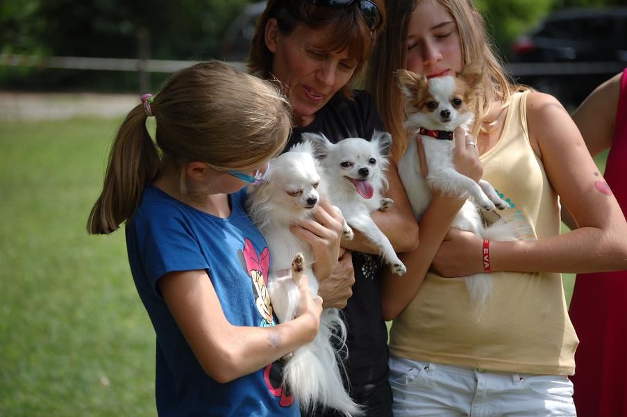 PIKNIK ČIVAVIC 15.8. - foto povečava