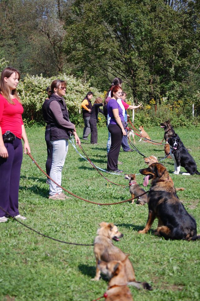 AZILAŠI JESEN 2011, POMLAD 2012, S. NOVICE - foto povečava