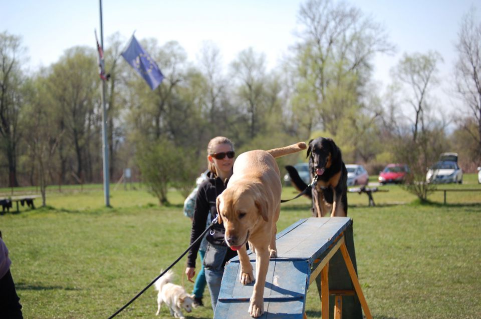 AZILAŠI JESEN 2011, POMLAD 2012, S. NOVICE - foto povečava