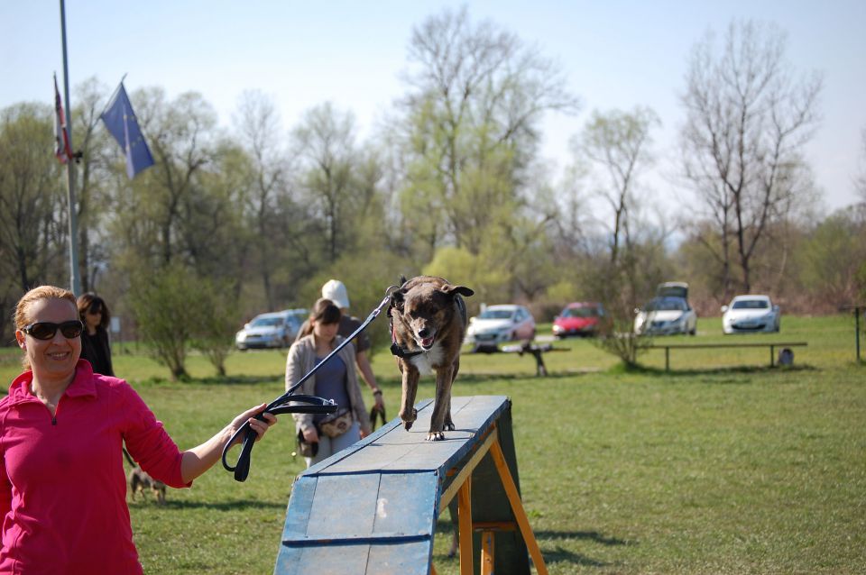 AZILAŠI JESEN 2011, POMLAD 2012, S. NOVICE - foto povečava