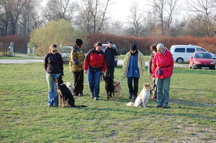 Tečaj 12.11.2011 - foto povečava