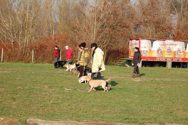 Tečaj 12.11.2011 - foto