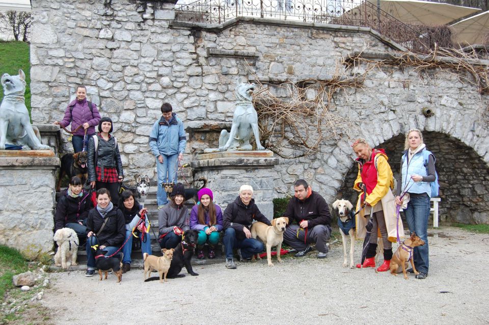 MALO PROSTORA, PROSIM! - foto povečava