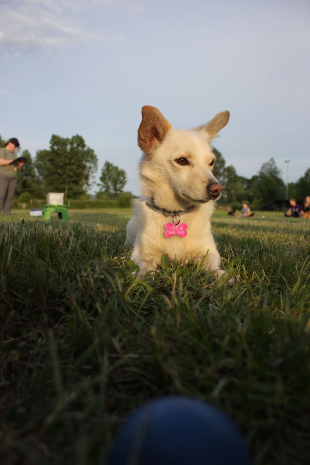 AOI 15.6.2014 - foto povečava