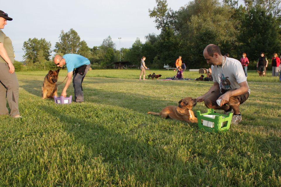 AOI 15.6.2014 - foto povečava