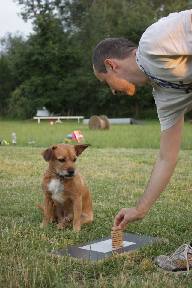 AOI 15.6.2014 - foto povečava