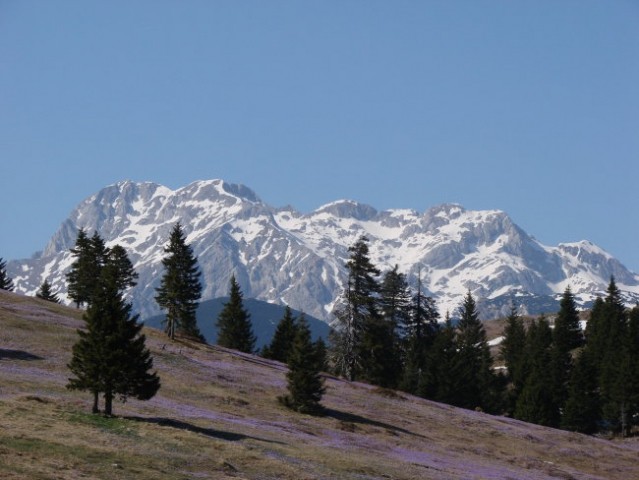 Velika Planina 15.04.2007 - foto