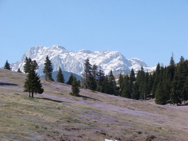 Velika Planina 15.04.2007 - foto