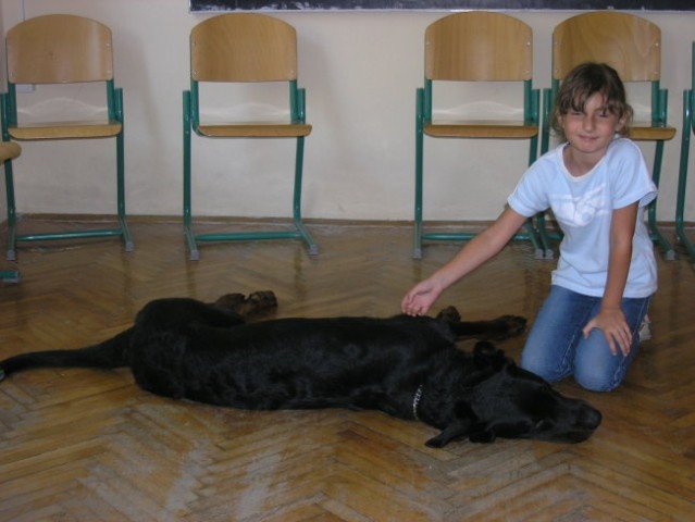 Razgibajmo poletje, 2. teden - foto