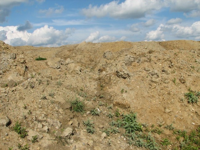 Državno prvenstvo Dobrovnik 2007 A.R.O  - foto povečava