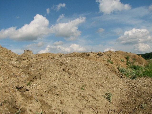 Državno prvenstvo Dobrovnik 2007 A.R.O  - foto