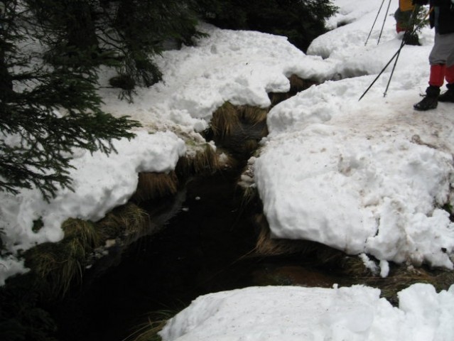 Pohod Rogla-Osankarica(12.1.2008) - foto