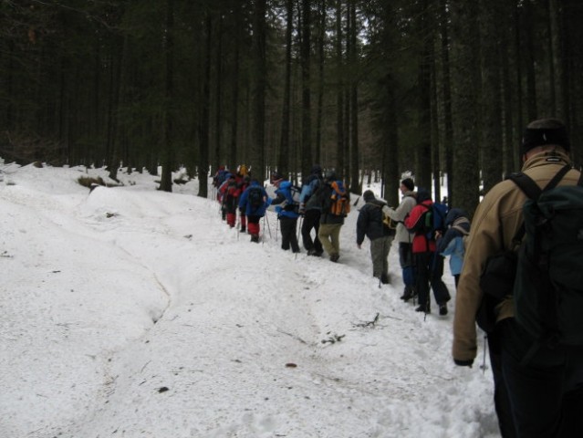 Pohod Rogla-Osankarica(12.1.2008) - foto