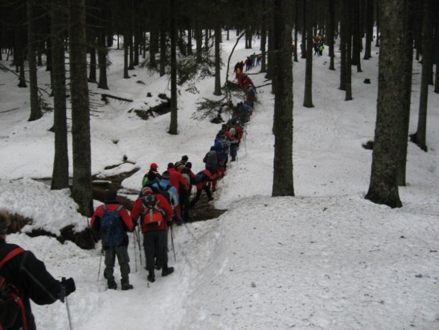 Pohod Rogla-Osankarica(12.1.2008) - foto