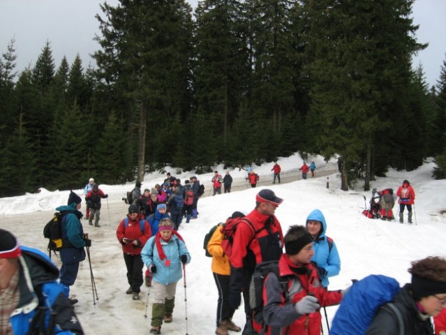 Pohod Rogla-Osankarica(12.1.2008) - foto