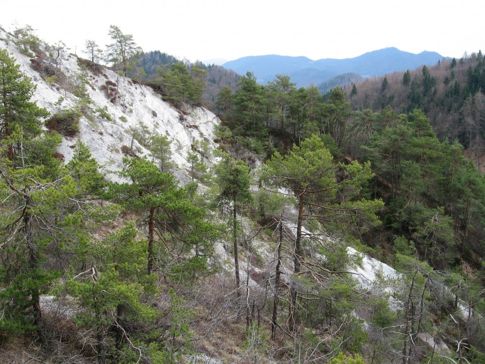 Pohod Krašnja-Limbarska gora-Trojane-15.3.09 - foto povečava