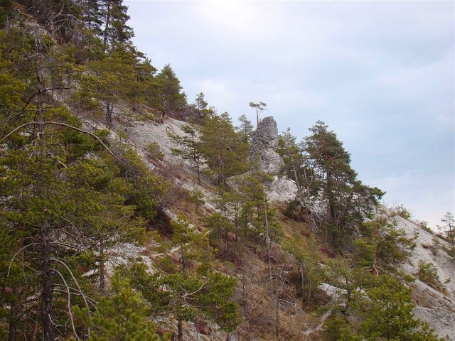 Pohod Krašnja-Limbarska gora-Trojane-15.3.09 - foto