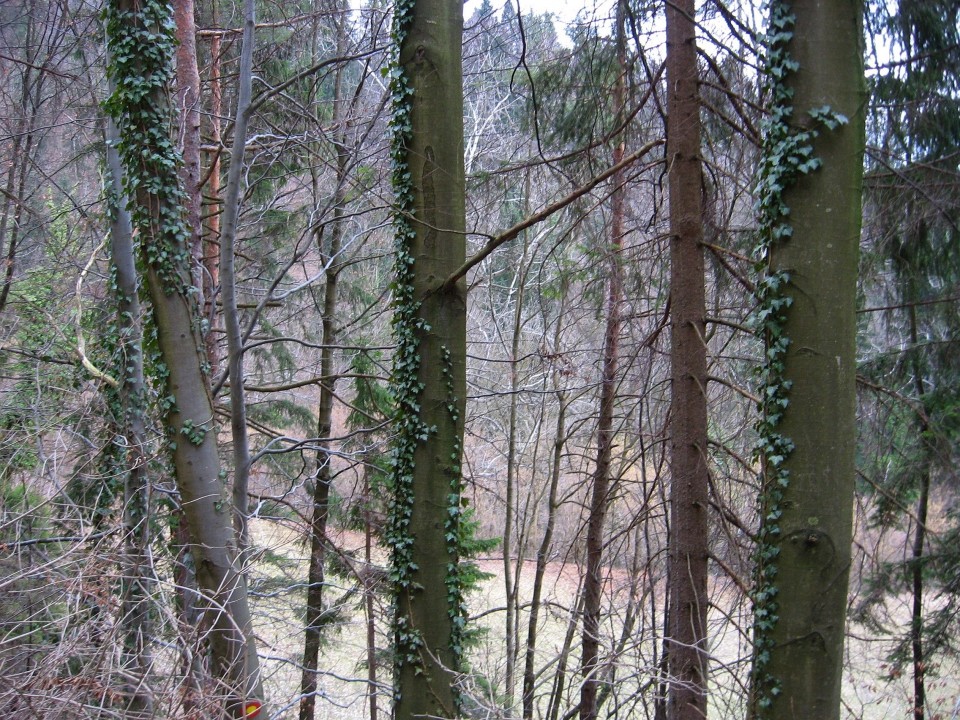 Pohod Krašnja-Limbarska gora-Trojane-15.3.09 - foto povečava