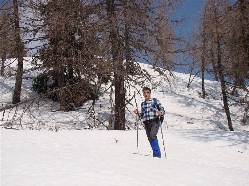 (Pokljuka)Rupe-Blejska koča-Mrežce-Debela peč - foto povečava