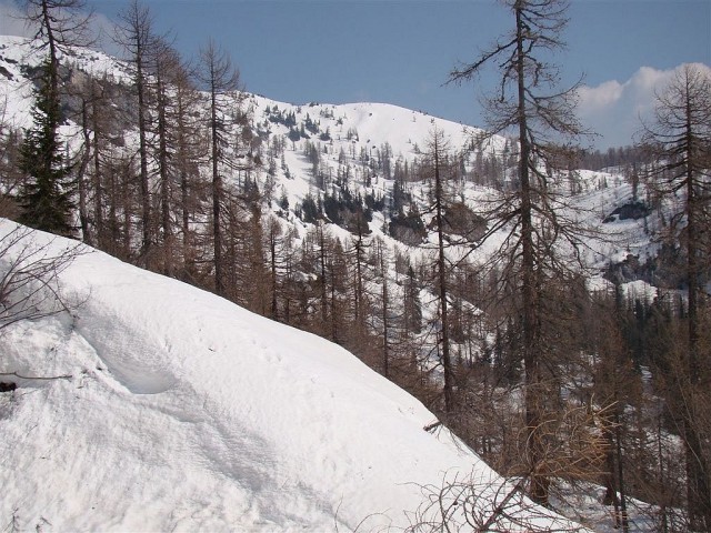 (Pokljuka)Rupe-Blejska koča-Mrežce-Debela peč - foto