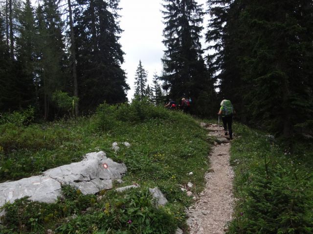 Blato-Zelnarici-Špičje-Trigl. jez.-30.8.14 - foto