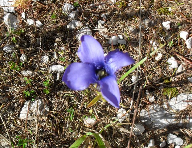 Pl.Ravne-V.Vrh-Korošica-20.9.14 - foto