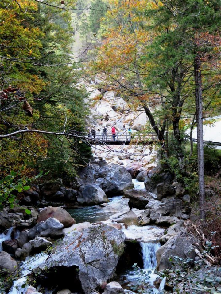 Jelendol-Kofce-Veliki vrh-11.10.2014 - foto povečava