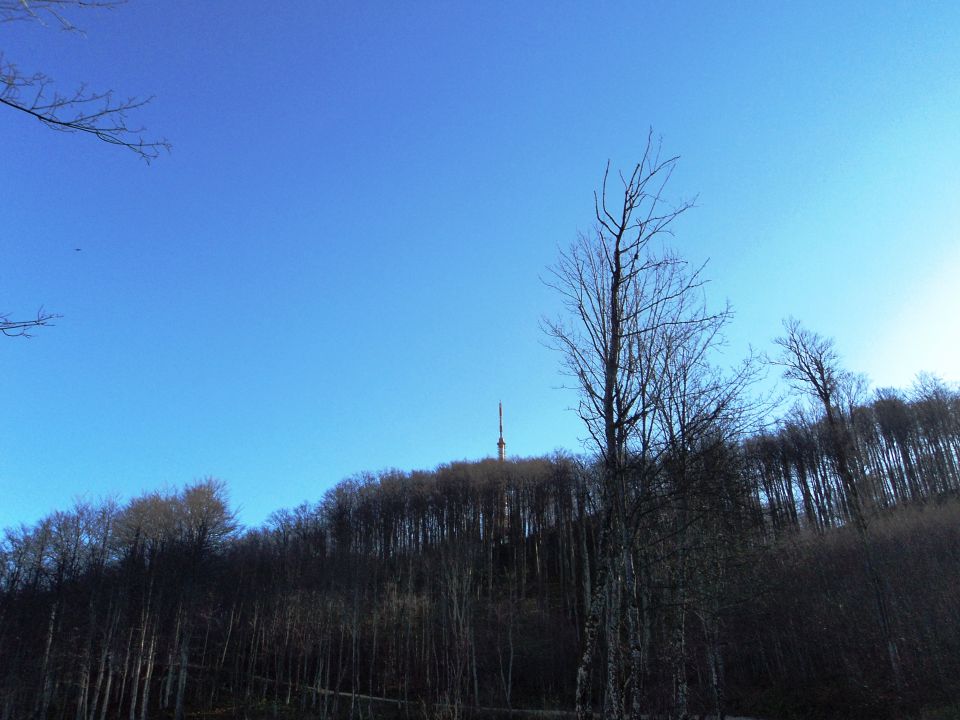 Gospodična-Trdinov vrh in Mirna gora-16.11.14 - foto povečava
