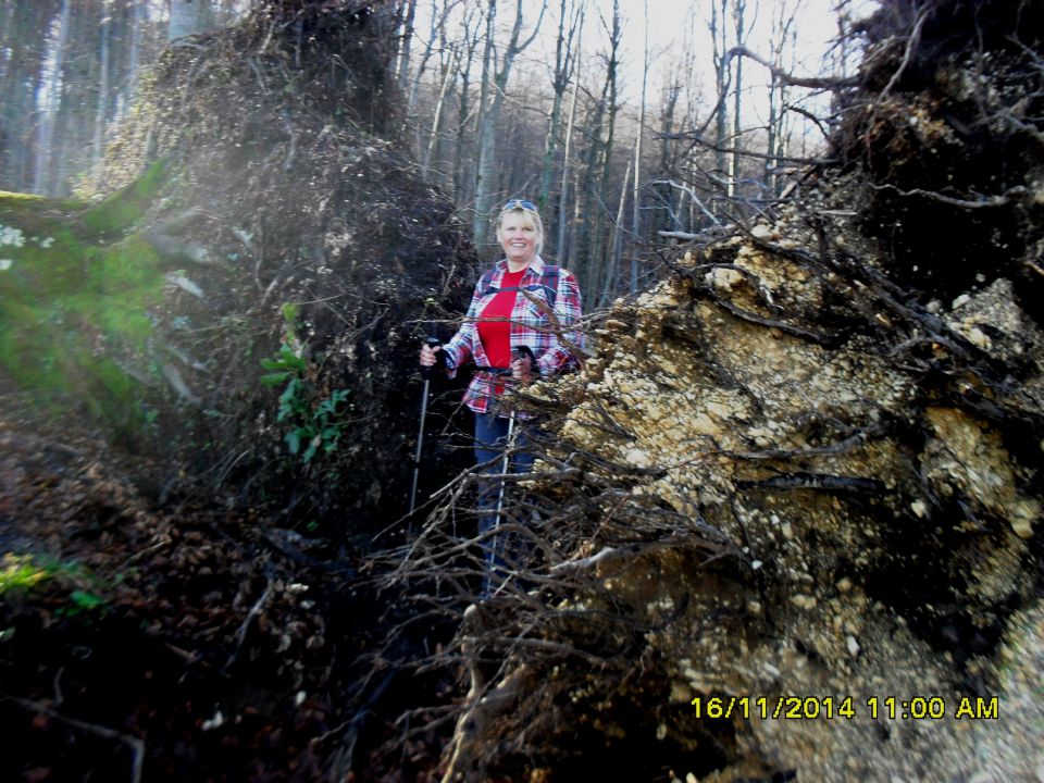 Gospodična-Trdinov vrh in Mirna gora-16.11.14 - foto povečava