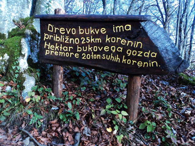 Gospodična-Trdinov vrh in Mirna gora-16.11.14 - foto