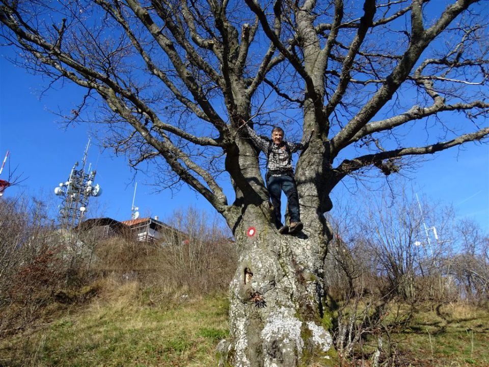 Strahomer-Krim in Vikrče-Šmarna gora-23.11.14 - foto povečava