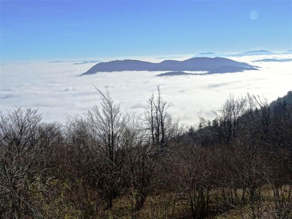 Strahomer-Krim in Vikrče-Šmarna gora-23.11.14 - foto povečava